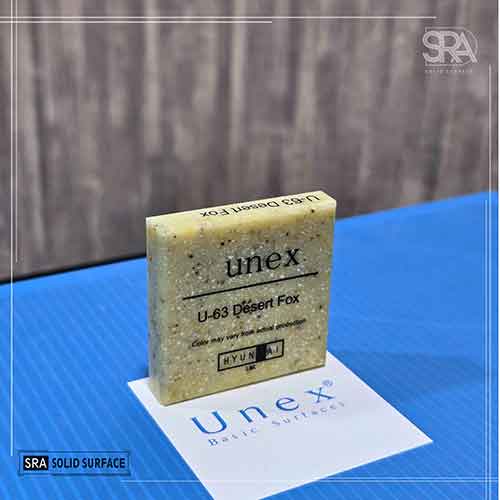 U-63 Desert Fox Hyundai Unex Surfaces U-63 Desert Fox Hyundai Unex Surfaces