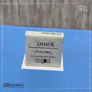 UT-02 Clam Hyundai Unex Surfaces