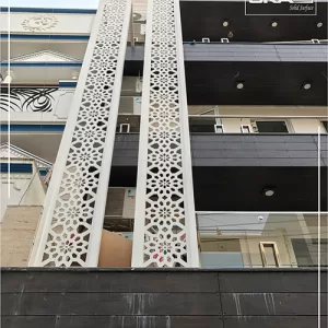 Architectural Elegance Exterior Jali Cladding in Solid Surface