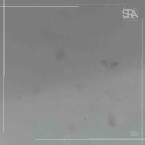 VLX106 Winter Walking Vivanta Solid Surface